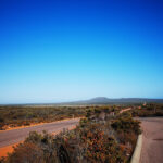 爆走2,000km！海の先は南極！オーストラリア・ラッキーベイに行ったら世界一きれいだった【モテ旅・前半戦】