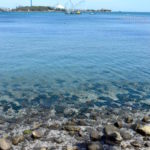 【潮干狩り・バーベキュー】都心から一時間半の穴場スポット、野島公園にいってきた